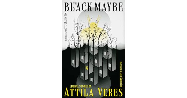Jan Kjellin's review of The Black Maybe